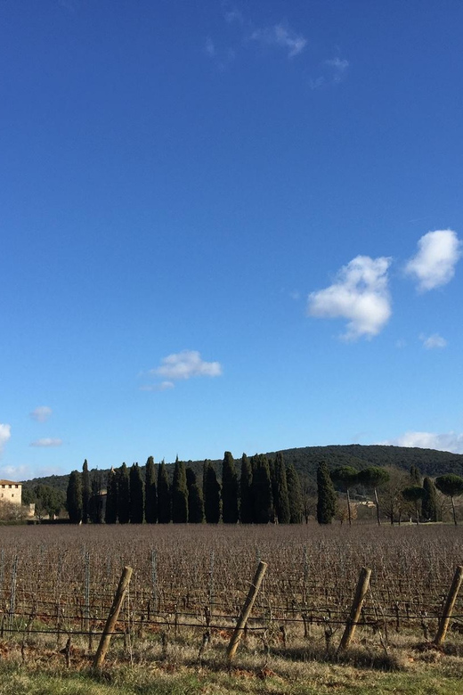 Siena: Tour and Wine Tasting in a Tuscan Private Castle - Key points at a glance