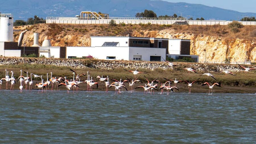 Silves History - Nature Boat Tour - free drink and Port wine - Who Will Enjoy This Boat Tour?