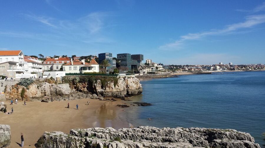 Sintra: Full-Day Tour from Lisbon with Wine Tasting - Wine Tasting and Regional Flavor
