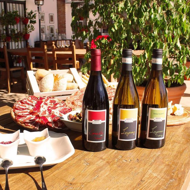 Sirmione: Vineyard Tour with Lugana Wines and Local Tastings - Three wines with a proper regional spread