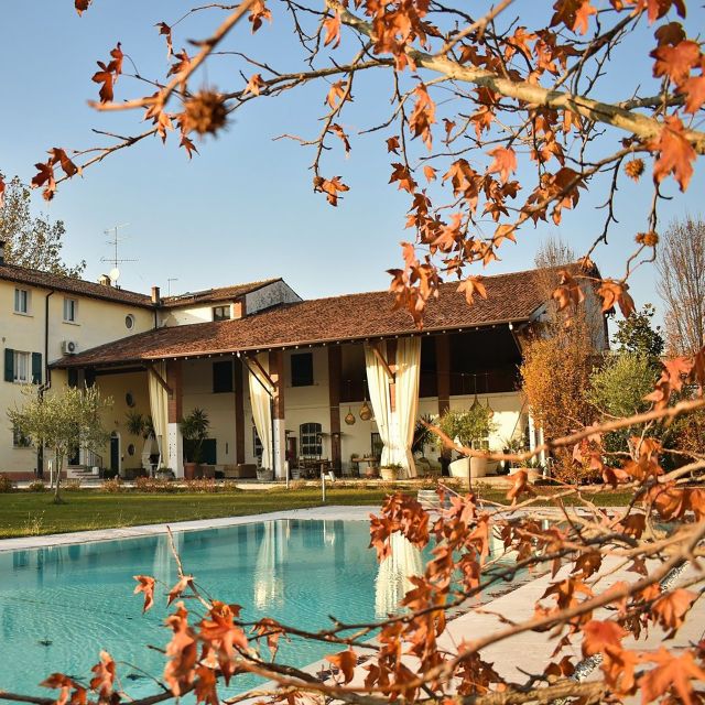 Sirmione: Vineyard Tour with Lugana Wines and Local Tastings - Starting among the Turbiana vines