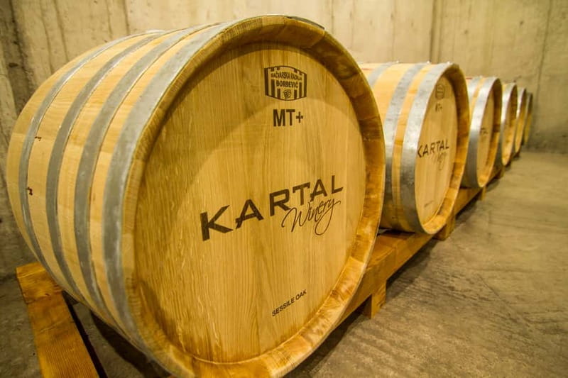 Skopje: Kartal Winery Tour - Arriving 5 kilometers southeast of central Skopje