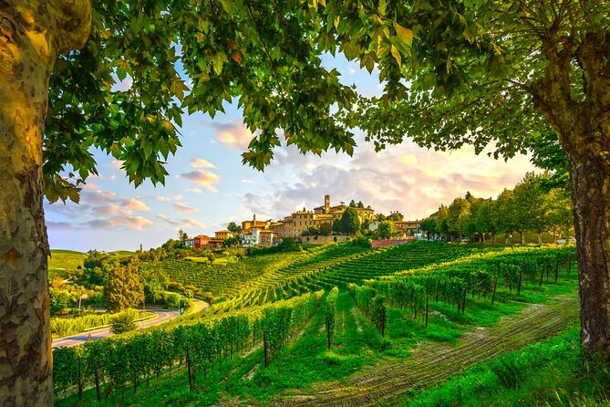 Small-Group Barolo Wine Tasting, Alba & UNESCO Piedmont Hills - Alba: two hours among towers, truffles, and pasta