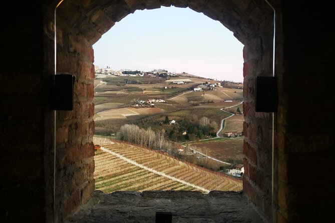 Small-Group Barolo Wine Tasting, Alba & UNESCO Piedmont Hills - What the $216.46 price includes
