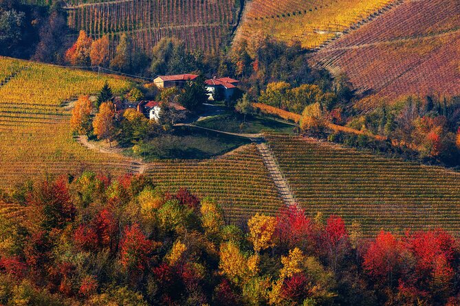 Small-Group Barolo Wine Tasting, Alba & UNESCO Piedmont Hills - Who should book this Barolo experience?