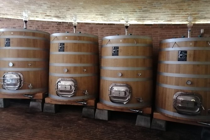 Small-Group Brunello di Montalcino Wine-Tasting Trip from Siena - First Winery: Start with the Wine and the Vines