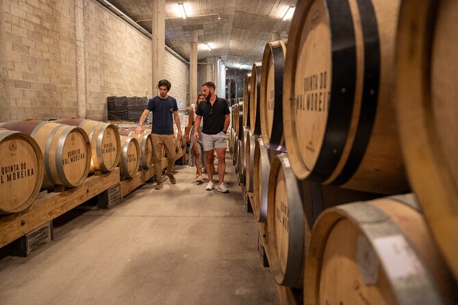 Small Group Douro Valley Wine Tour with Lunch and Cruise - The second winery adds variety, but the format can change
