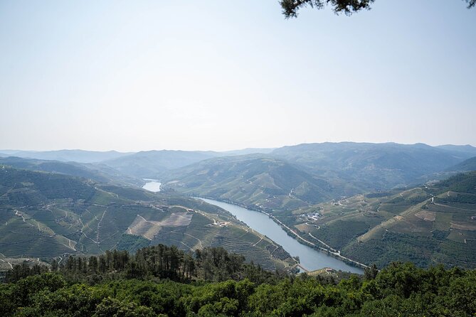 Small Group Douro Valley Wine Tour with Lunch and Cruise - Timing, weather, and practical matters