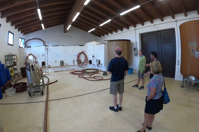 Small-Group Food and Wine Tour from Cagliari - Leaving Cagliari for the Parteolla vineyards