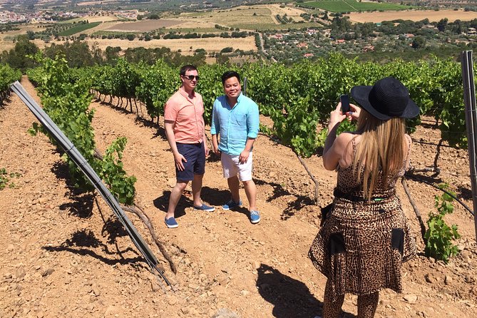 Small-Group Food and Wine Tour from Cagliari - Soleminis, vineyards, and a family cellar