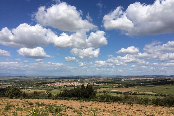 Small-Group Food and Wine Tour from Cagliari - Sardinian brunch at the long table