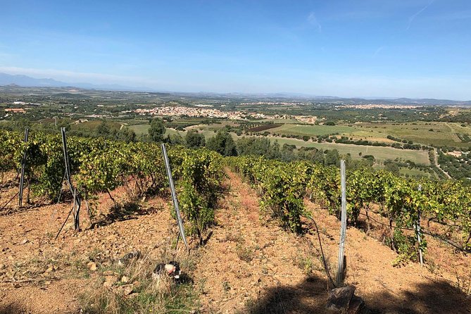 Small-Group Food and Wine Tour from Cagliari - Why the small group matters