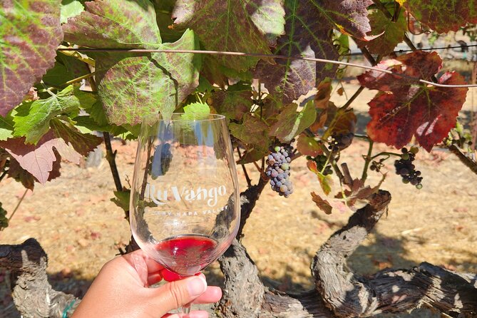Small Group Napa and Sonoma Full-Day Wine Tour from San Francisco - The bus matters more than the brochure suggests