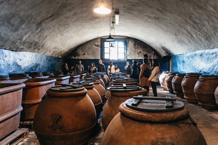 SMALL GROUP Tuscany Wine Tasting Safaris with Lunch / Dinner - Key points worth knowing
