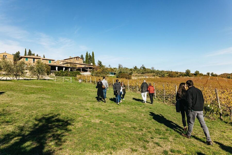 SMALL GROUP Tuscany Wine Tasting Safaris with Lunch / Dinner - Choosing the 9-hour full-day safari