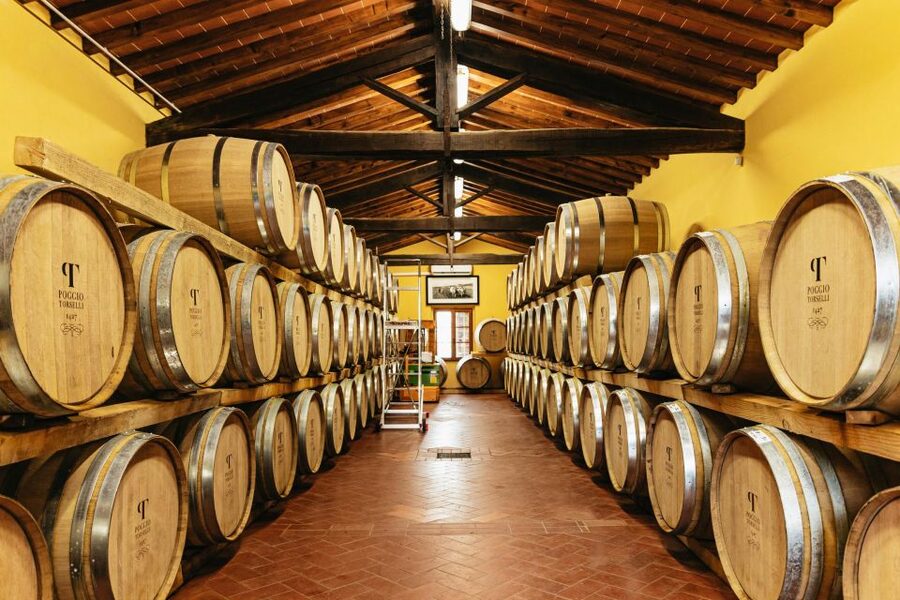 SMALL GROUP Tuscany Wine Tasting Safaris with Lunch / Dinner - Choosing the 6-hour morning tour with lunch