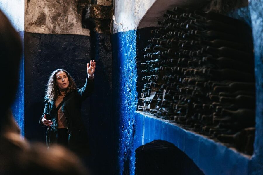 SMALL GROUP Tuscany Wine Tasting Safaris with Lunch / Dinner - Guides, group size, and the social side