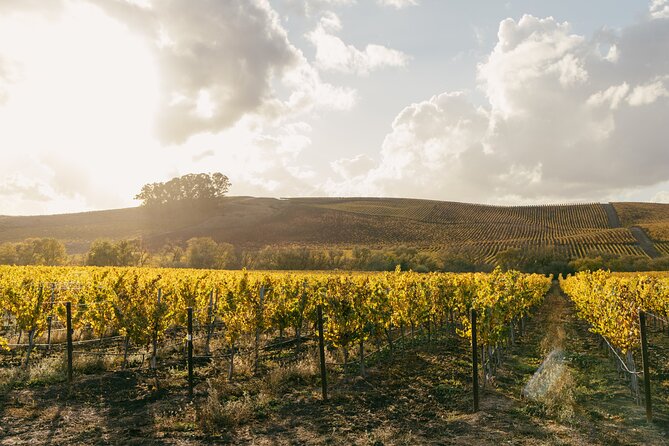Small Group: Ultimate Napa & Sonoma Wine Tour from San Francisco - Two Hours at Sonoma Plaza