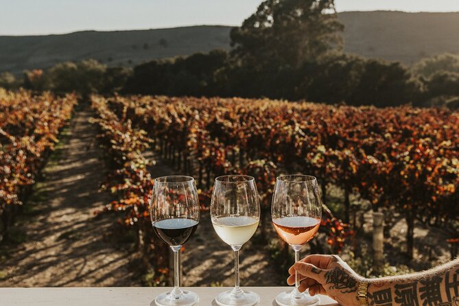 Small Group: Ultimate Napa & Sonoma Wine Tour from San Francisco - Guides, Vehicles, and the Human Side of the Day