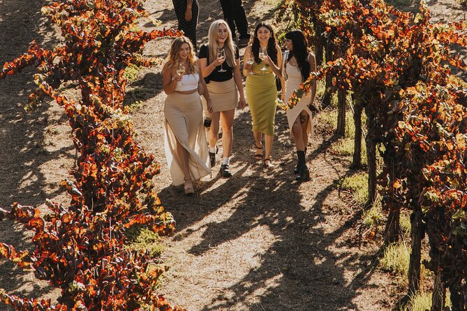 Small Group: Ultimate Napa & Sonoma Wine Tour from San Francisco - Who Should Book This Tour?