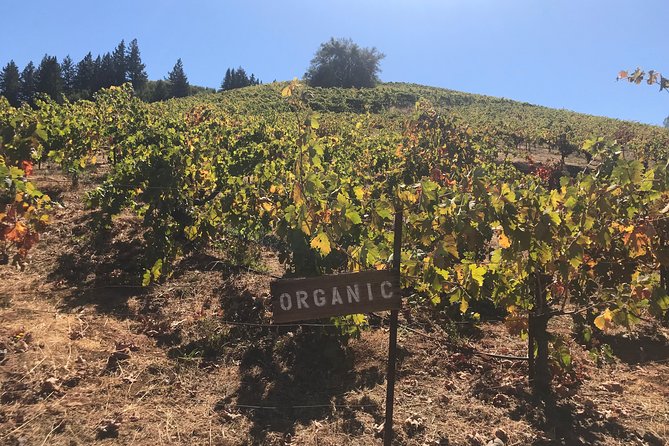 Small-Group Wine Country Tour from San Francisco with Tastings - Sausalito adds a different view of the bay