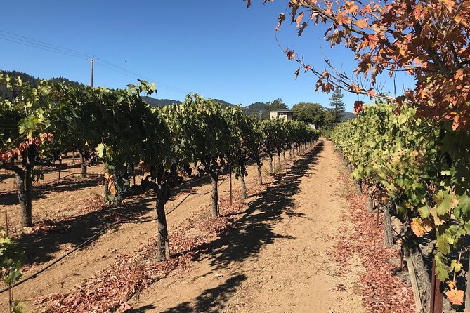 Small-Group Wine Country Tour from San Francisco with Tastings - The practical details that matter