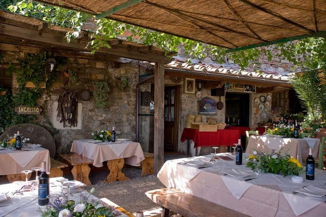 SMALL-GROUP Wine Safaris: Tuscan Wine Tasting Tours from Florence - Meeting at Florence’s Station