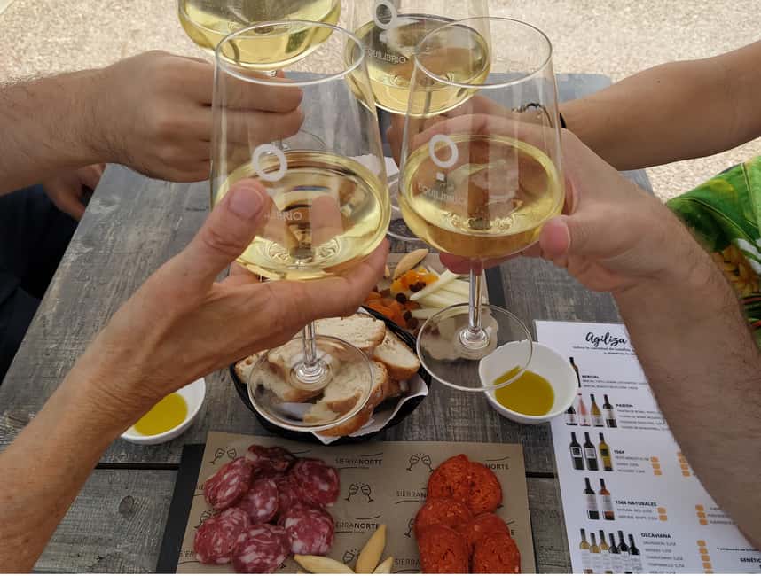 Small-Group Wine Tour from Valencia with Tastings Max 7 - Why Requena makes a smart wine day from Valencia