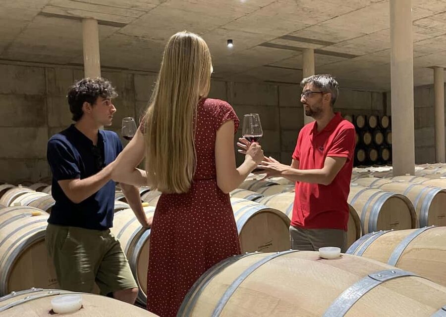 Small-Group Wine Tour from Valencia with Tastings Max 7 - Requena’s old town, fortress, and silk-trade past