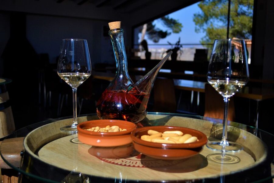 Small-Group Wine Tour from Valencia with Tastings Max 7 - Is $165 a fair price?