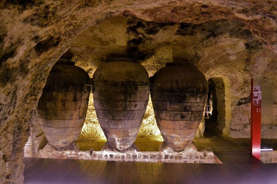 Small-Group Wine Tour from Valencia with Tastings Max 7 - The guides shape the whole day