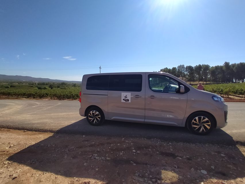 Small-Group Wine Tour from Valencia with Tastings Max 7 - A comfortable start with hotel pickup