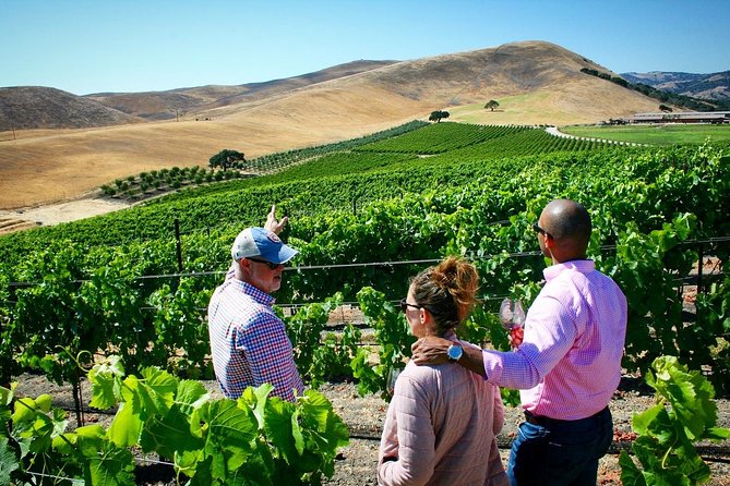 Small-Group Wine Tour to Private Locations in Santa Barbara - A seven-hour route through Santa Barbara wine country