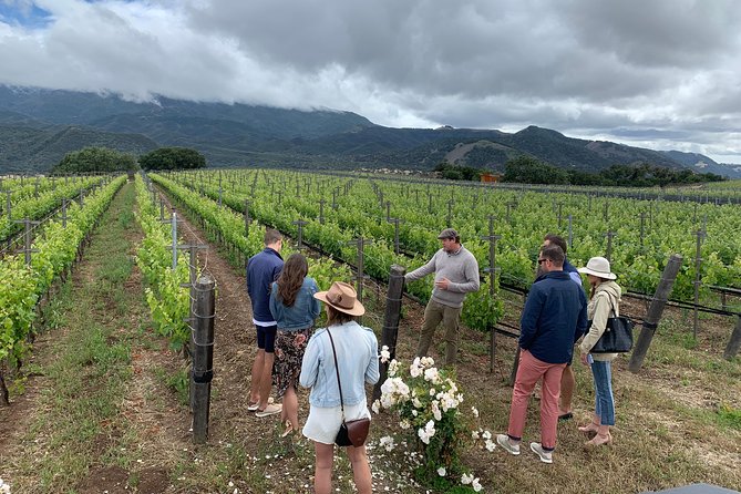 Small-Group Wine Tour to Private Locations in Santa Barbara - Lunch, water, and the small details