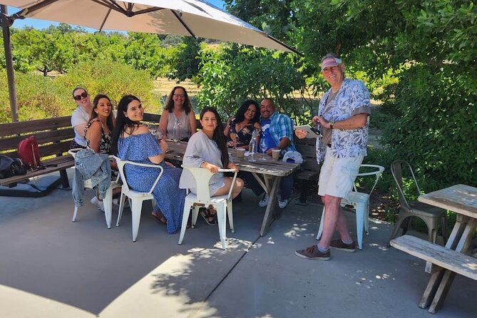Solvang Santa Ynez Valley Small Group All-Inclusive Wine Tour - Three Boutique Wineries in About Five Hours