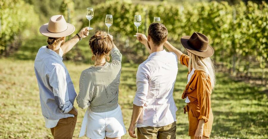 Sonoma Valley: Guided Winery Tour with Picnic Lunch - Key points at a glance