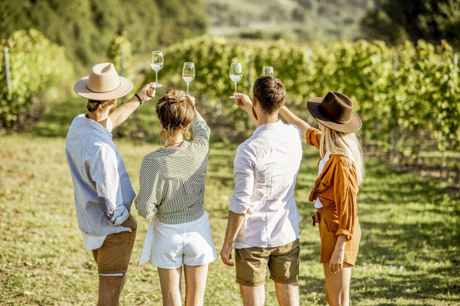 Sonoma Valley: Guided Winery Tour with Picnic Lunch - Learning wine without a lecture hall