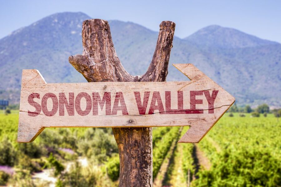 Sonoma Valley: Guided Winery Tour with Picnic Lunch - Sonoma Valley views between the stops