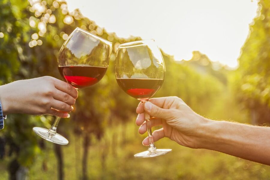 Sonoma Valley: Guided Winery Tour with Picnic Lunch - Who will enjoy this Sonoma tour most?