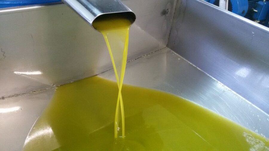 Sorrento: Lemon, Olive Oil and Wine Tasting Tour with Lunch - Key things to know before you book