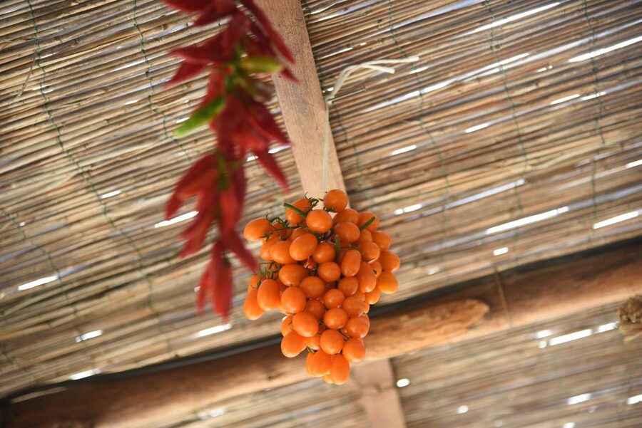 Sorrento: Pizza Lesson, Wine, and Limoncello at a Local Farm - Who should book this farm dinner?