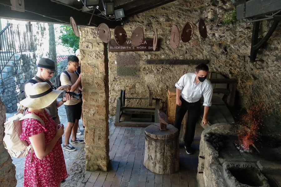 Split: Krka National Park Full-Day Tour with Wine Tasting - Plastovo wine tasting and local specialties