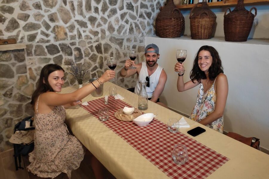 Split: Krka National Park Full-Day Tour with Wine Tasting - Is $49 good value?