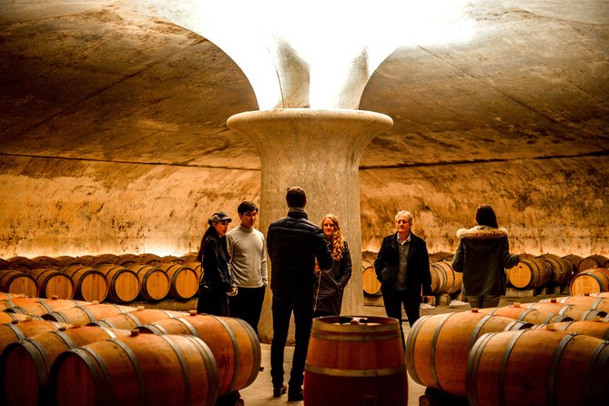 St-Emilion & Médoc Wine Day Tour: Chateaus, Tastings and Lunch - Starting in Bordeaux and crossing into wine country