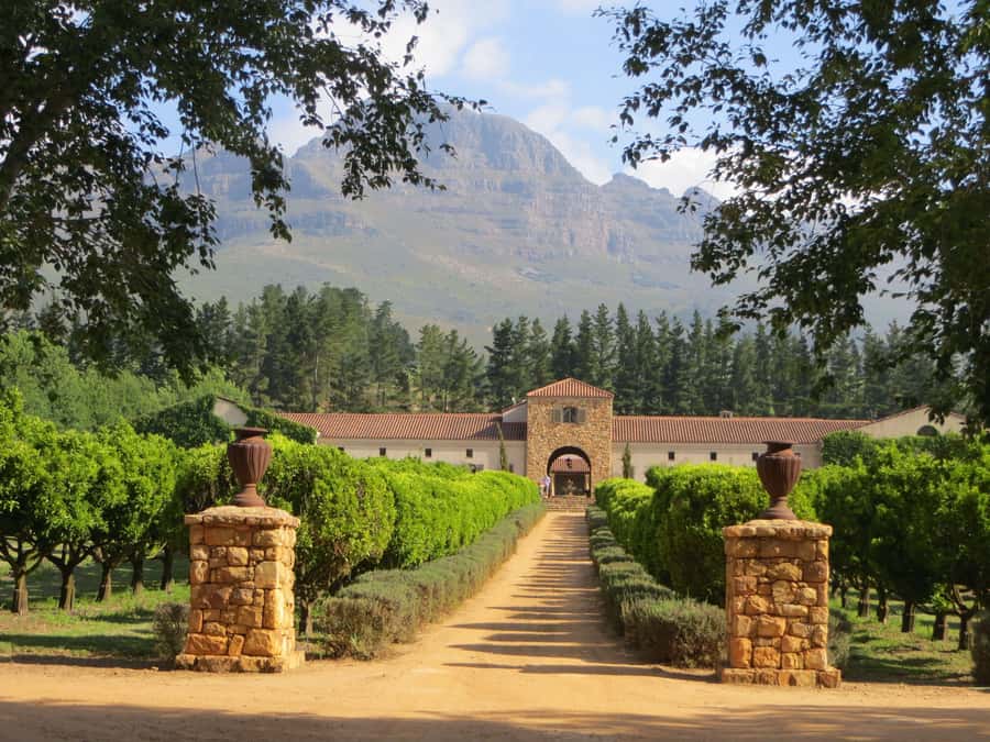 Stellenbosch: All-inclusive Private Wine Tour & Tastings - A flexible route through boutique and award-winning estates