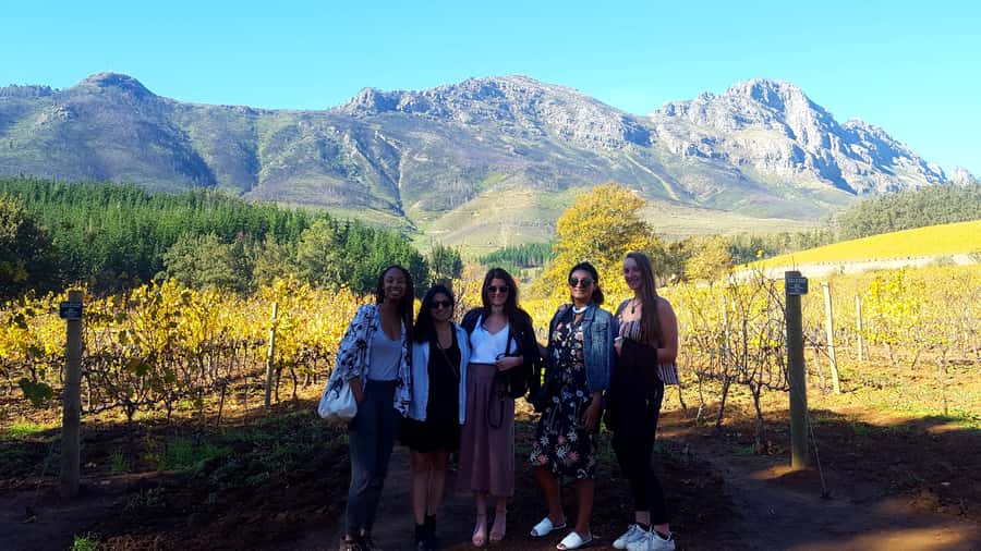 Stellenbosch: Eastern Route Hop-On Hop-Off Wine Tour - Why the Eastern Route works well