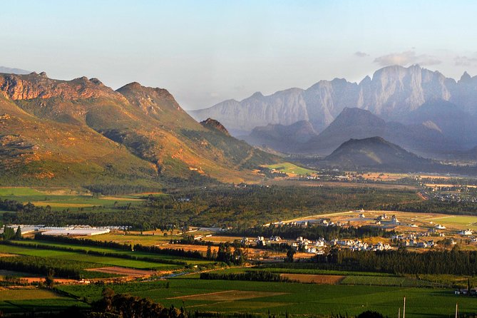 Stellenbosch, Franschhoek and Paarl Winelands Full Day Trip from Cape Town - Stellenbosch: old streets and a flexible first taste