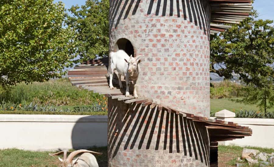 Stellenbosch: Half-Day Wine Tour - Final Recommendation