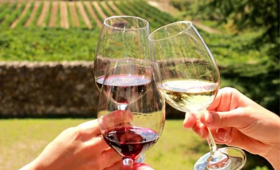 Stellenbosch: Half-Day Wine Tour - The Basic Shape Of This Cape Winelands Day