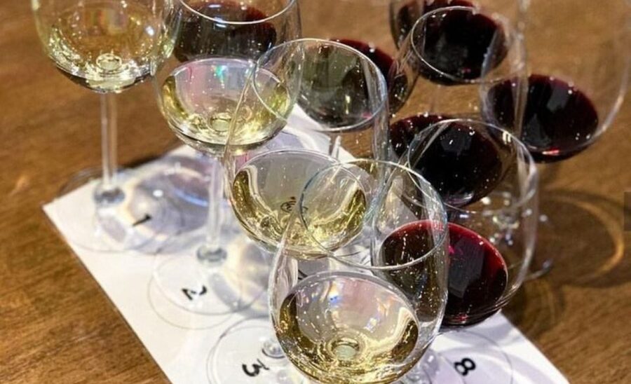 Stellenbosch: Half-Day Wine Tour - Is $55 Good Value?
